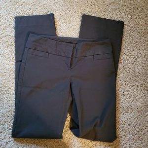 The limited Pants